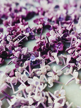 Load image into Gallery viewer, Lilac and Labdanum Enfleurage.