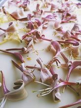 Load image into Gallery viewer, Milk and Honey. botanical perfume. sweet cream and honeysuckle. December 2023