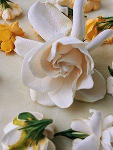 Milk Oolong Gardenia. enfleurage perfume. April 2022