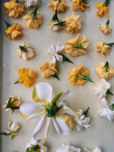 Milk Oolong Gardenia. enfleurage perfume. April 2022