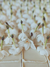 Load image into Gallery viewer, Narcissus and Assam Agarwood Enfleurage.