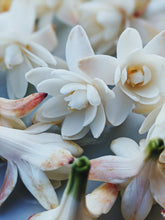Load image into Gallery viewer, Sea Witch. natural perfume. white tropics, tuberose, coconut-amber-orange. July 2023