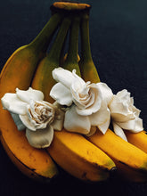 Load image into Gallery viewer, Banana Cream Flower. natural perfume. banana pudding, gardenia ice cream, banana blossoms. September 2020