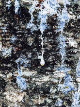 Load image into Gallery viewer, Red Riding Hood. natural perfume. fir jam and rosy oud. January 2023