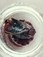 Load image into Gallery viewer, Wild Black Spruce Soliflore. Natural perfume from wild stands of Picea mariana in Vermont's taiga. August 2024