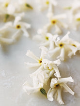Load image into Gallery viewer, Scorpio ♏︎ enfleurage perfume. star jasmine enfleurage, civet, oak, cognac, clove. October 2023