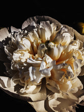 Load image into Gallery viewer, Peony and Balsam Poplar Bud Enfleurage.