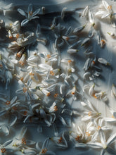 Load image into Gallery viewer, Fireflies. natural perfume. orange blossom, amber and white cedar magic. August 2023