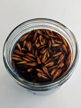 Load image into Gallery viewer, Peony and Balsam Poplar Bud Enfleurage.