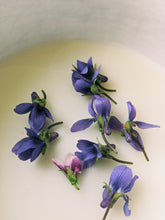 Load image into Gallery viewer, Violet Santal. natural perfume. unabashed sandalwood smoothed by violet leaves. July 2025