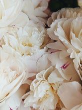 Load image into Gallery viewer, Peony and Balsam Poplar Bud Enfleurage.