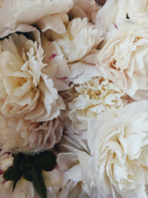 Load image into Gallery viewer, Peony and Balsam Poplar Bud Enfleurage.