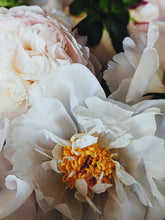 Load image into Gallery viewer, Peony and Balsam Poplar Bud Enfleurage.
