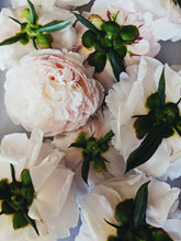 Load image into Gallery viewer, Peony and Balsam Poplar Bud Enfleurage.