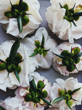 Load image into Gallery viewer, Peony and Balsam Poplar Bud Enfleurage.
