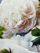 Load image into Gallery viewer, Peony and Balsam Poplar Bud Enfleurage.