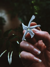 Load image into Gallery viewer, Jasminum Polyanthum Enfleurage.