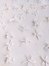 Load image into Gallery viewer, Jasminum Polyanthum Enfleurage.