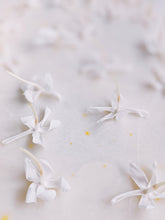 Load image into Gallery viewer, Jasminum Polyanthum Enfleurage.