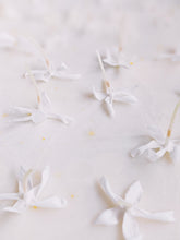 Load image into Gallery viewer, Jasminum Polyanthum Enfleurage.