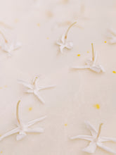Load image into Gallery viewer, Jasminum Polyanthum Enfleurage.