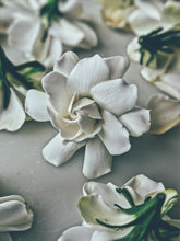 Load image into Gallery viewer, Milk Oolong Gardenia. enfleurage perfume. March 2025