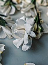 Load image into Gallery viewer, Milk Oolong Gardenia. enfleurage perfume. April 2022