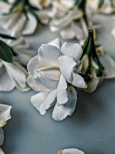 Load image into Gallery viewer, Milk Oolong Gardenia. enfleurage perfume. March 2025