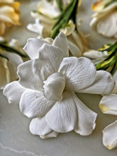 Load image into Gallery viewer, Milk Oolong Gardenia. enfleurage perfume. March 2025