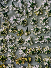 Load image into Gallery viewer, Milk Oolong Gardenia. enfleurage perfume. March 2025