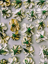 Load image into Gallery viewer, Milk Oolong Gardenia. enfleurage perfume. March 2025