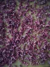 Load image into Gallery viewer, Lilac Enfleurage.