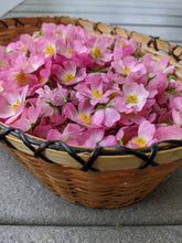 Load image into Gallery viewer, Kunja. Himalayan Musk Rose Soliflore. Single note Rosa brunonii perfume with musk rose enfleurage. June 2022