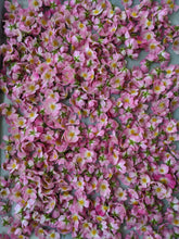 Load image into Gallery viewer, Kunja. Himalayan Musk Rose Soliflore. Single note Rosa brunonii perfume with musk rose enfleurage. June 2022