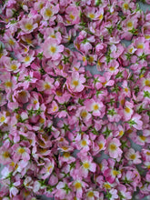 Load image into Gallery viewer, Kunja. Himalayan Musk Rose Soliflore. Single note Rosa brunonii perfume with musk rose enfleurage. June 2022