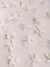 Load image into Gallery viewer, Enfleurage Sample Set: 12 Natural Perfumes. Wild Veil solid fragrances. Gift set. Exquisite floral.
