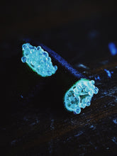 Load image into Gallery viewer, Caviar Rose. animalic sour cabbage rose perfume from long term tinctures. September 2021