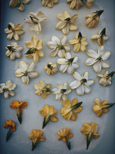 Load image into Gallery viewer, Gardenia, Wild Poplar Bud and Bushman Candle Enfleurage.