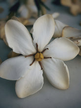 Load image into Gallery viewer, Gardenia, Wild Poplar Bud and Bushman Candle Enfleurage.