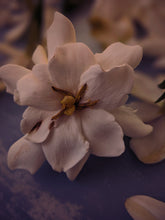 Load image into Gallery viewer, Kalilava. enfleurage perfume. gardenia & sweet incense tree enfleurage, lotus flower, nag champa smoke enfleurage, frankincense. July 2022