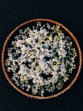 Load image into Gallery viewer, The Pollen Spattered Bride. enfleurage perfume. June 2021