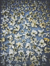 Load image into Gallery viewer, Gardenia, Saffron and Hunza Raisin Enfleurage.