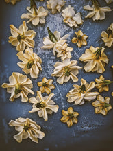 Load image into Gallery viewer, Gandhraj (July 2019). Aged Gardenia jasminoides Enfleurage Extrait. Organic gardenia perfume. Biodynamic