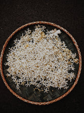 Load image into Gallery viewer, Scorpio ♏︎ enfleurage perfume. star jasmine enfleurage, civet, oak, cognac, clove. October 2023