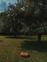 Load image into Gallery viewer, Mălum Mālum. an adult apple scent for The Fall. September 2025
