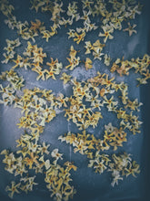Load image into Gallery viewer, Orange Star Jasmine Enfleurage May-September 2022, Central Vermont (90 charges).