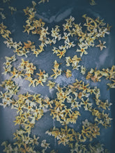 Load image into Gallery viewer, Orange Star Jasmine Enfleurage May-September 2022, Central Vermont (90 charges).