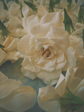 Load image into Gallery viewer, June Flower. Co-Enfleurage of White Peonies, Gardenia Jasminoides, Star Jasmine, Damask and Alba Roses. June 2022