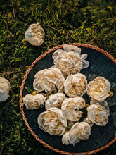 Load image into Gallery viewer, Enfleurage Sample Set: 12 Natural Perfumes. Wild Veil solid fragrances. Gift set. Exquisite floral.