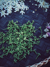 Load image into Gallery viewer, Cestrum Nocturnum Enfleurage (night blooming jasmine). Rare. Vernix on décolletage, a cherry dirge, honeysuckle nectar, dark sweet compote, powder, heliotrope, Louisiana sidewalk